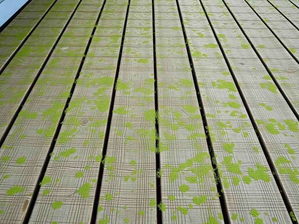 Wood Deck — before